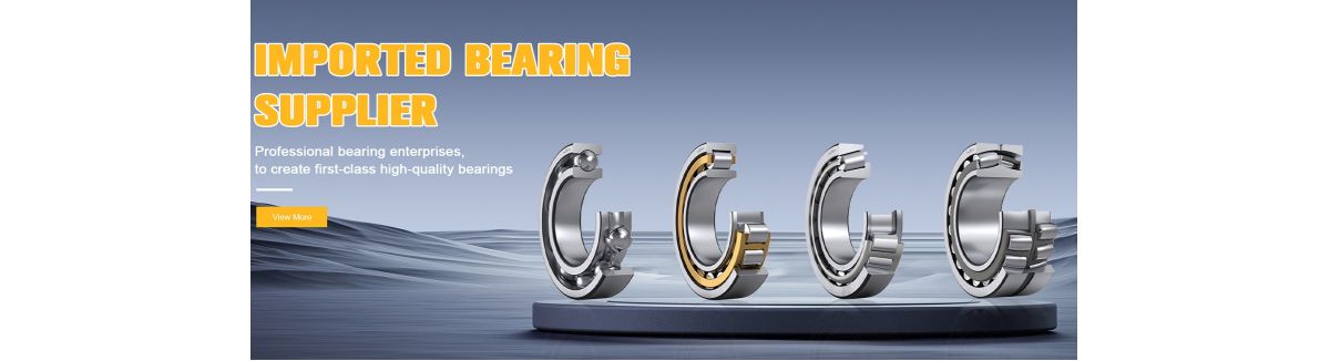 Beijing Skyford Bearing Trading Co., Ltd