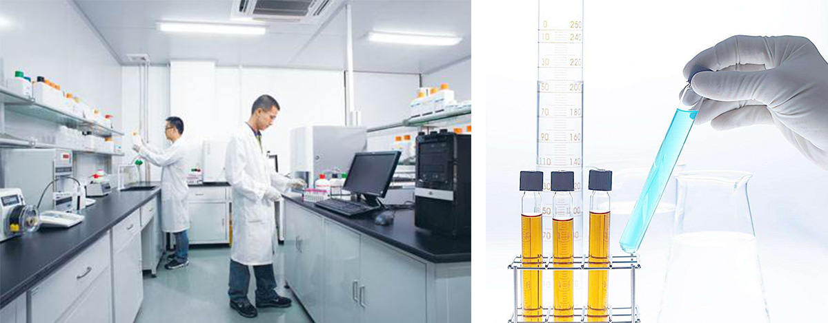 Anhui Yuxin Biotechnology Co., Ltd.